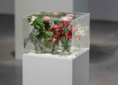 Exposition
