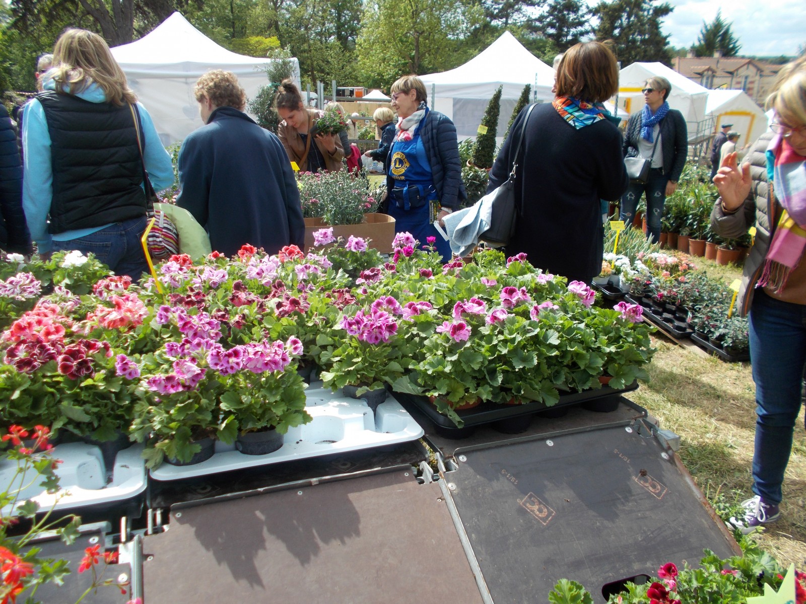 LES  FLORALIES D'ORGEVAL