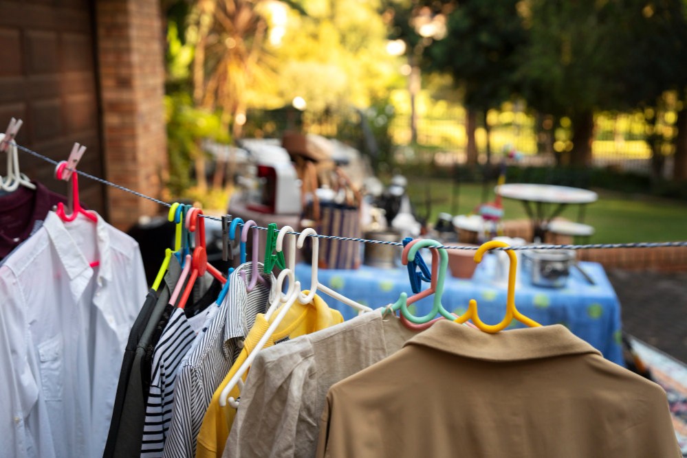 Vide-Dressing LES BAINS