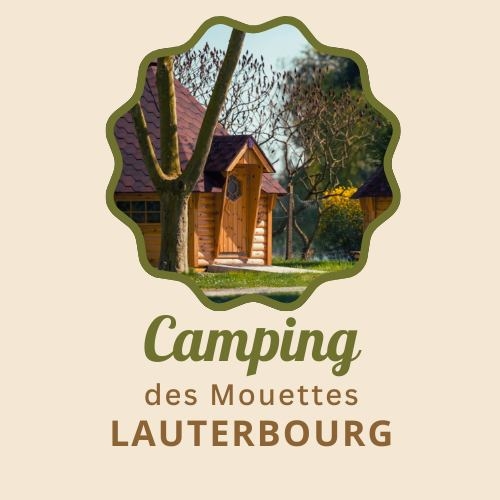 Camping municipal les Mouettes