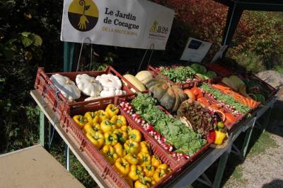 Visite guidée du Jardin de Cocagne