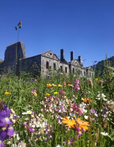 Découverte de l'abbaye de Bon-Repos