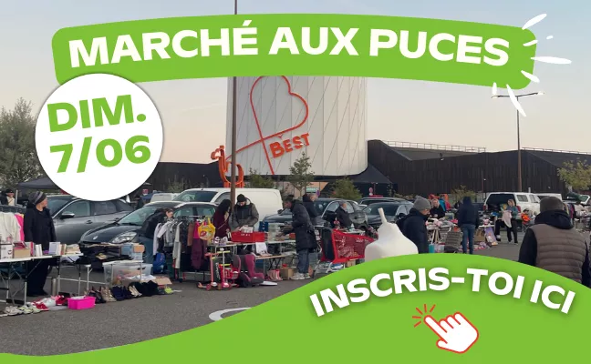 Le + GROS marché aux puces de Moselle-Est