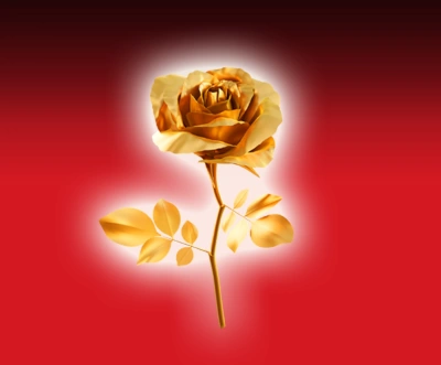 Fête Médiévale de la Rose d'Or