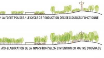 La fabrique de la forêt urbaine - ANIMA