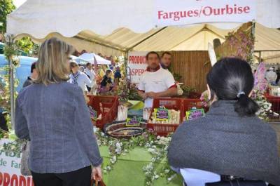 Fête de l asperge et produits du terroir