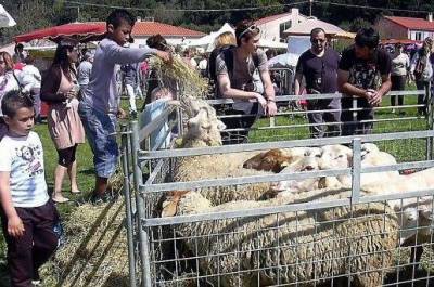 Foire aux Chevreaux