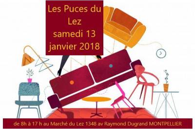 Les Puces du Lez