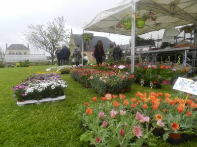 MARCHE AUX FLEURS