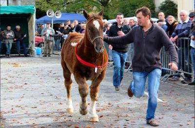 La Foire aux chevaux à l'ancienne