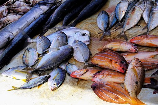 Cavalaire-sur-Mer Marché aux poissons