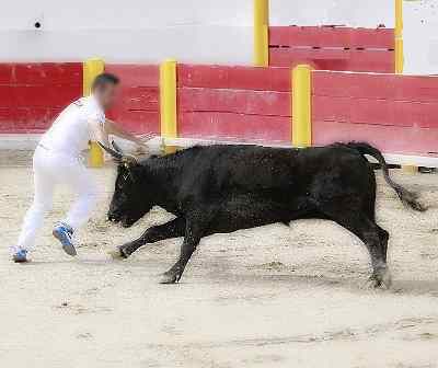 Course landaise
