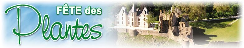 Les AUTOMNALES de BRESSUIRE