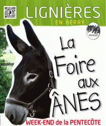 FOIRE AUX ANES ET AUX MULES DE LIGNIERES