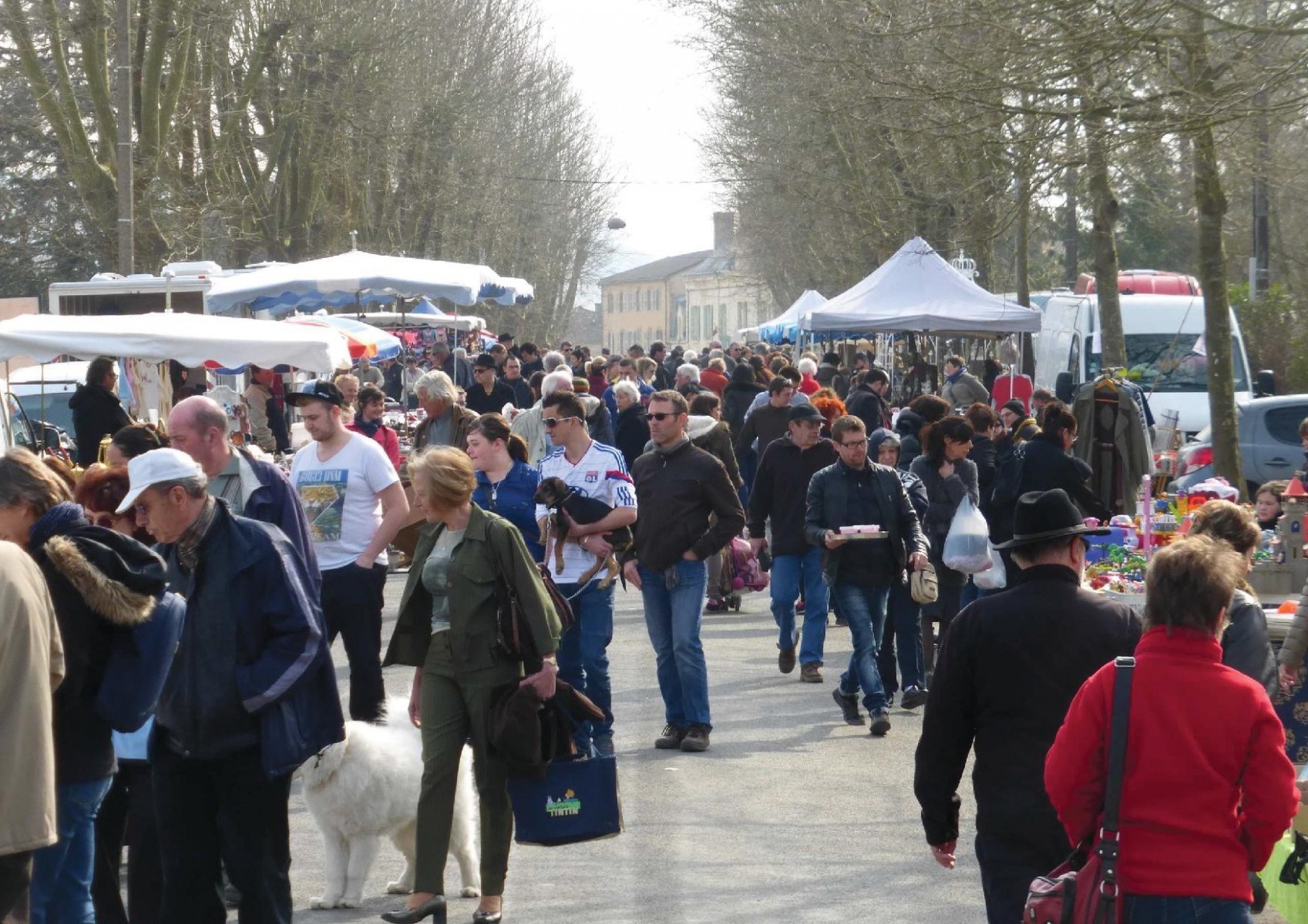 FOIRE A TOUT D'AZE