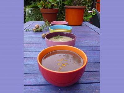 Fête de la Soupe a La Gacilly