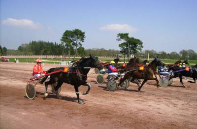 Courses Hippiques, Maure de Bretagne