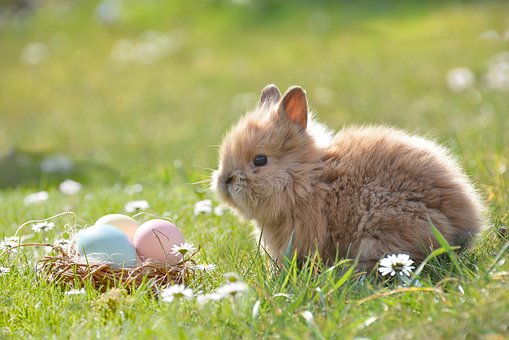 CHASSE A L'OEUF DE PÂQUES