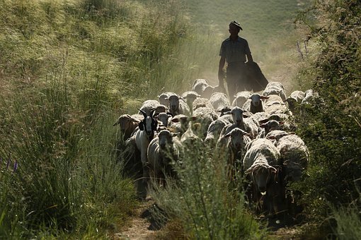 Fête de la transhumance