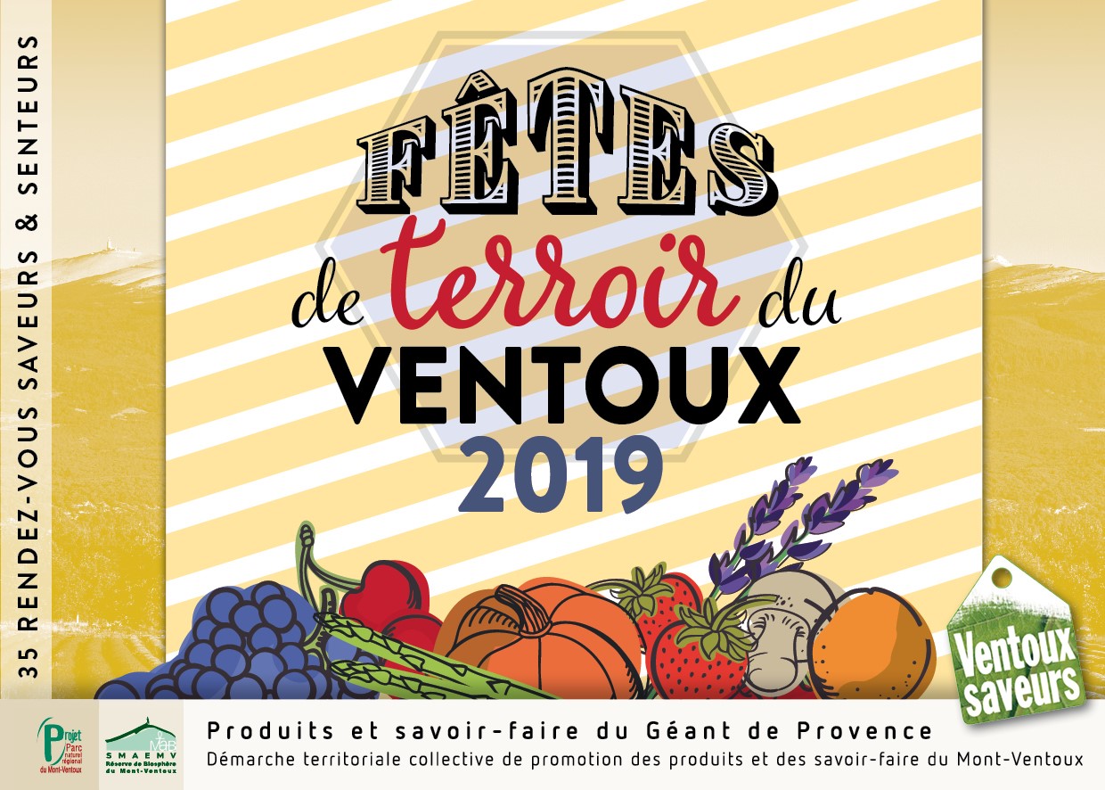Balade oenotouristique au domaine du Chêne Bleu