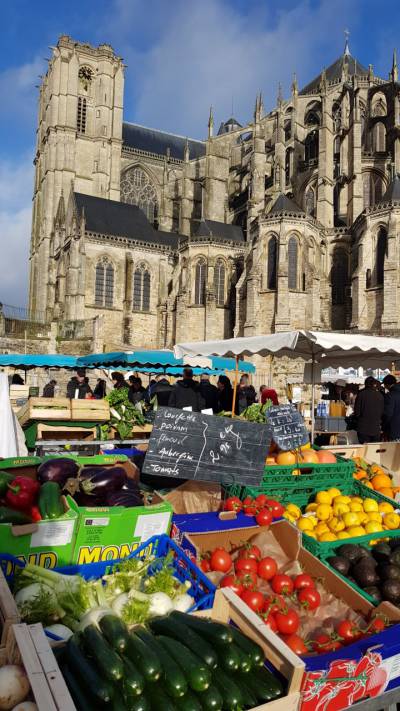 MARCHE DES JACOBINS vendredi