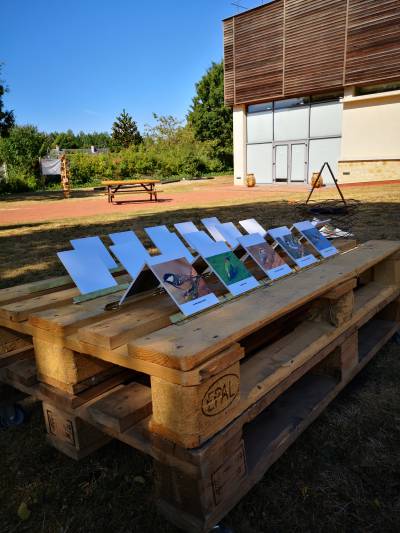 JEUX AUX JARDINS