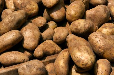 PATATES A LA CREME