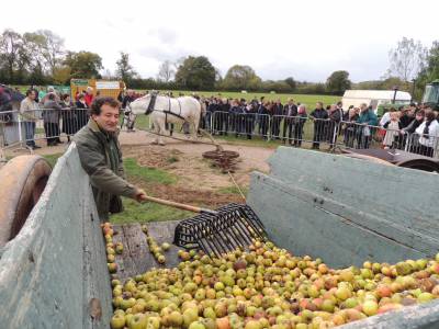 FETE DE LA POMME ET DE LA CHATAIGNE