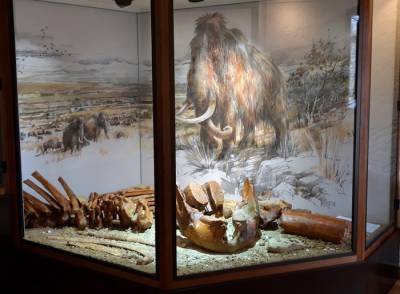 Musée et Site Archéologiques