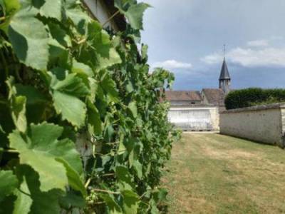 Visite guidée Thomery, un site unique en France