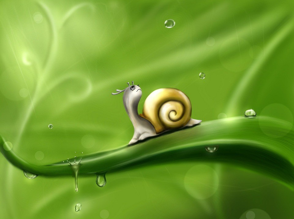 Martigny-les-Bains : la foire aux escargots