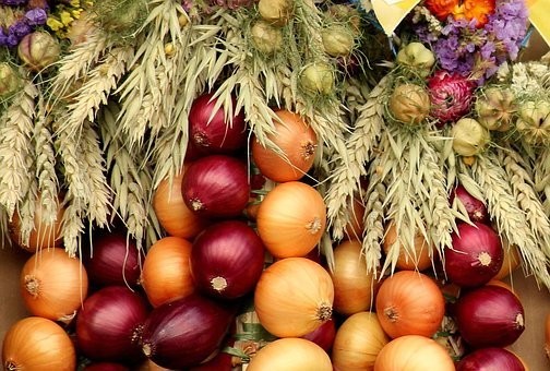 Trébons fête de l’oignon