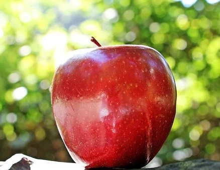 festival de la pomme