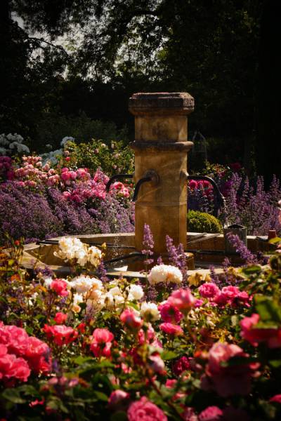 Visite du jardin de La Bouthière