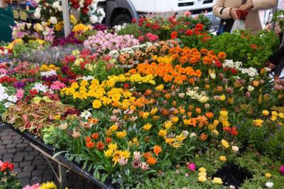 Marché de la Résidence