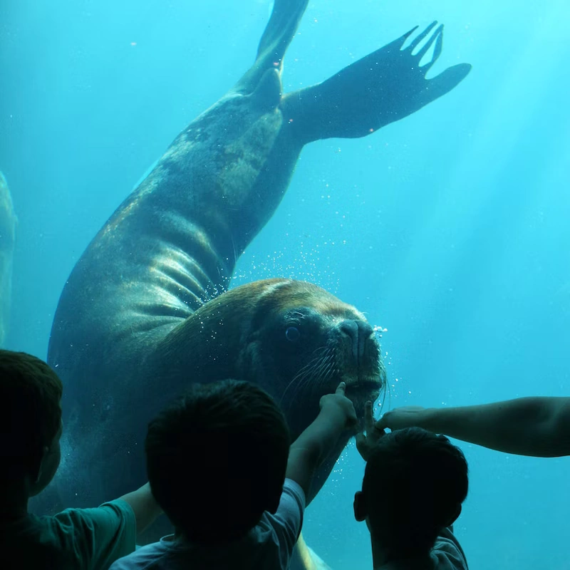 Le Seaquarium